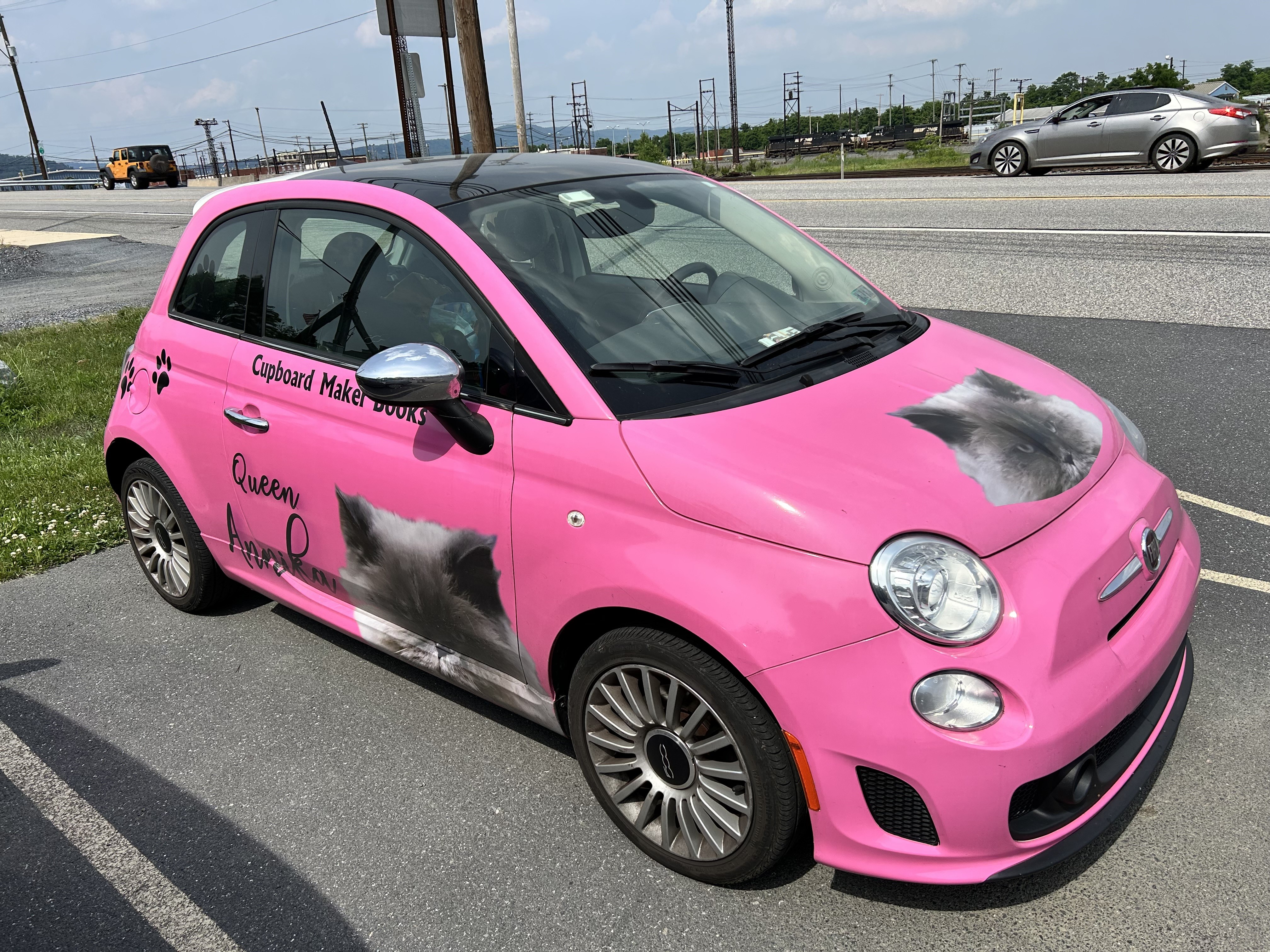 Pink Fiat with large cat face image -- brown or black face and ears and light-brown long fur surrounding the face