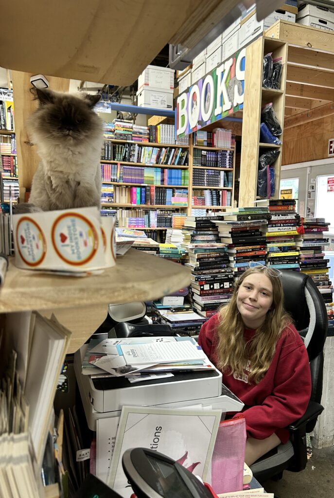 Large fluffy cat on a shelf, left upper foreground and a woman in right midground, with long blond hair and wearing a red sweatshirt, at a desk among bookshelves
