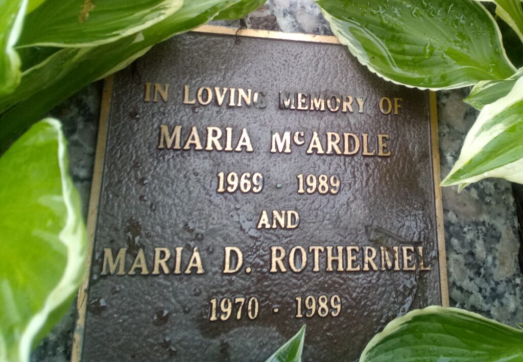 Small veritical rectangular bronze plaque, with black background and a gold border with gold letters and numerals. It says In Loving Memory Of Maria McArdle and Maria D. Rothermel 1970 - 1989. It is framed with hosta leaves that are bright green with white fringes and streaks inside.